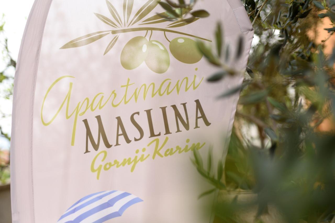 Studio Apartment Maslina Gornji Karin Kültér fotó